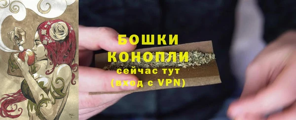 apvp Горнозаводск
