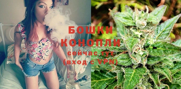 apvp Горнозаводск