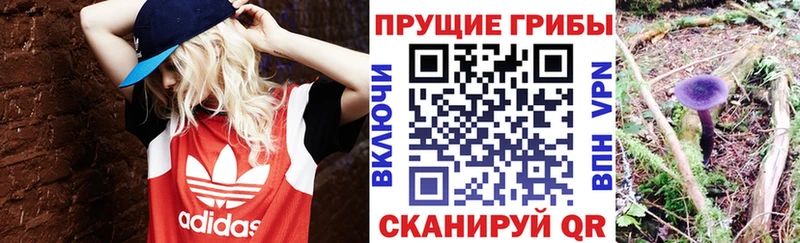 Псилоцибиновые грибы ЛСД  что такое наркотик  Красногорск 